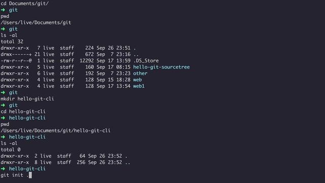 GIT2 - CLI 버전관리 - 3. 버전관리의 시작 смотреть онлайн