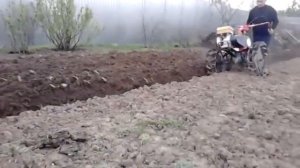 Мотоблок Салют пашет плугом