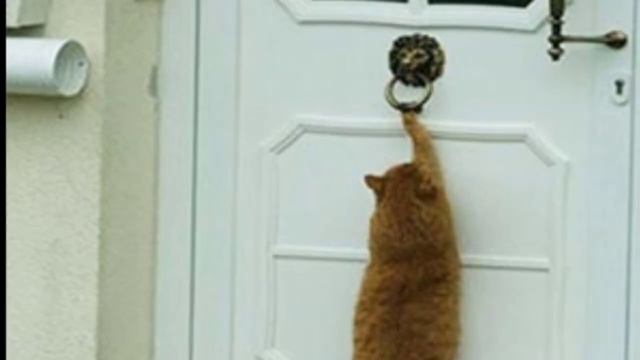 Длинный ноготь на мизинце у мужчин Для чего отращивают ? смотреть онлайн