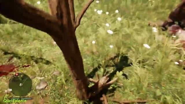 Far Cry Primal - Gameplay ITA - Walkthrough #02 - L' arco è nostro amico смотреть онлайн