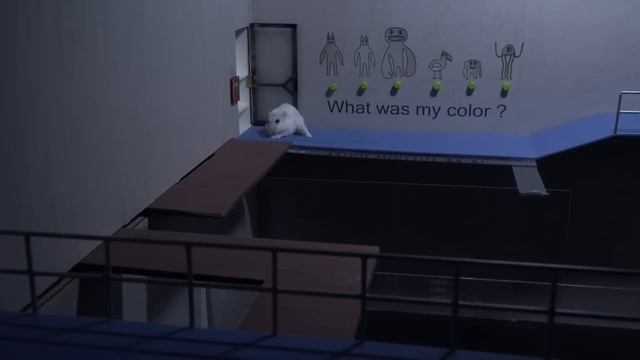 Hamster Trapped In Rainbow Friends Maze With New Monsters | Hamster Maze