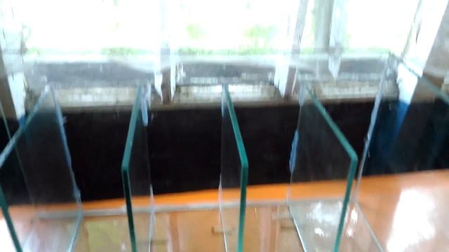 #2. #Аквариум #своими #руками. Как правильно #сделать #аквариум для #петушков. ПРОДОЛЖЕНИЕ. Часть 2 смотреть онлайн