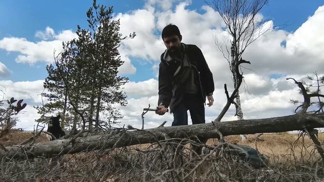 Сказочное болото озера Волоярви смотреть онлайн