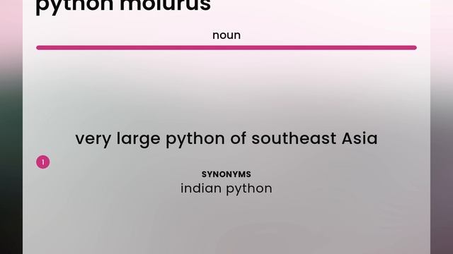 Python molurus • what is PYTHON MOLURUS meaning смотреть онлайн