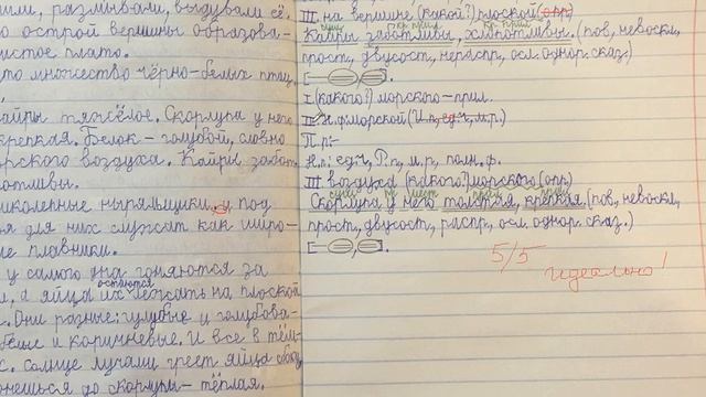 Анализ ошибок диктанта смотреть онлайн