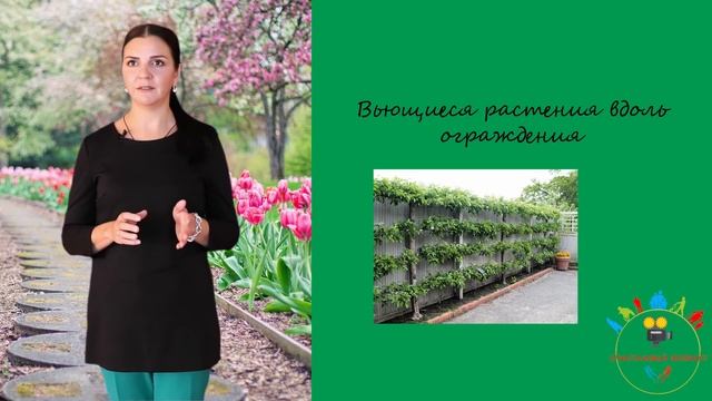 урок 9 Садовый дизайн. Плодовый сад смотреть онлайн
