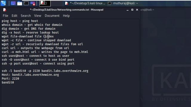 kali linux networking commands(ping,whois,dig,wget,curl,ssh) смотреть онлайн