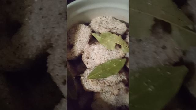 Засолка рыбы и икры в домашних условиях