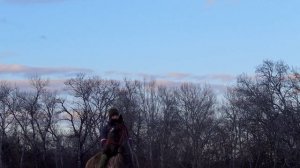 ЧЕЧЕНСКИЕ ПЕСНИ ПОД ГИТАРУ От Души исполнил