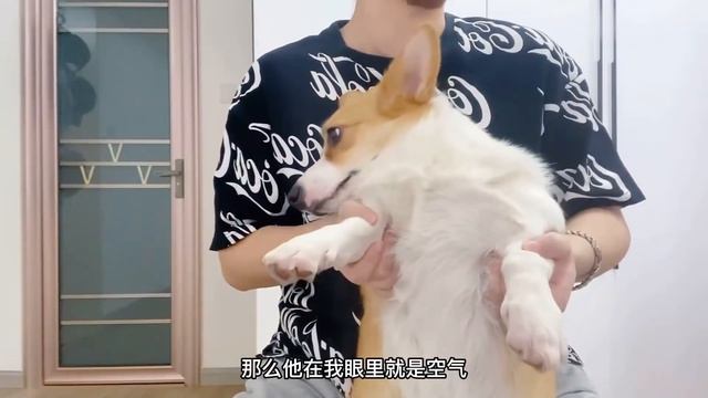 【原神】月卡半年总结轻松10万原石，甘雨、八重统统抱回家【冰糖小堃】 смотреть онлайн