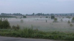 Утренний туман в поле