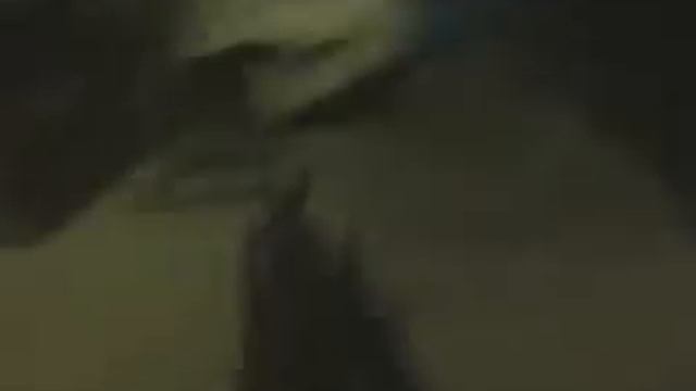 DEAD or ALIVE (g.matias version) смотреть онлайн