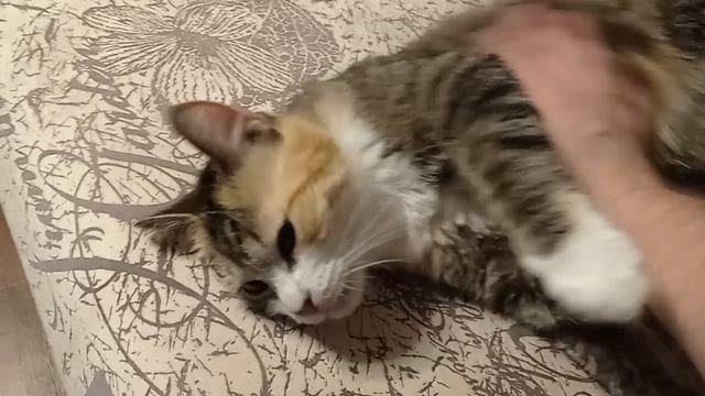 История спасения Малышки 2-й. смотреть онлайн