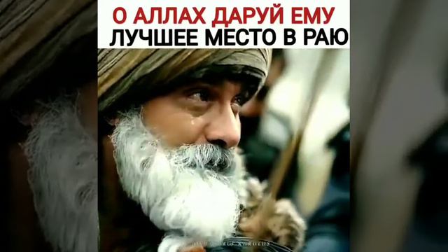 Очень жаль абдурахмана Гази?!!! смотреть онлайн