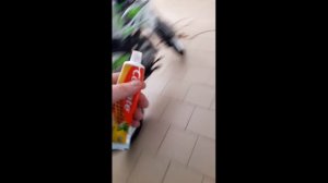 ПОЛИРОВКА АВТО ,СКУТЕРА ЗУБНОЙ ПАСТОЙ СВОИМИ РУКАМИ !