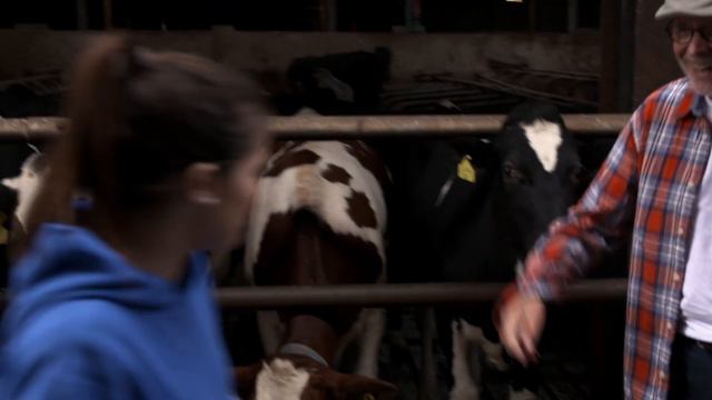 42 hours project | Shortfilm - In Het Bloed смотреть онлайн