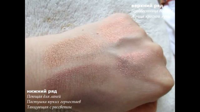 Свотчи оттенков теней ТАММИ ТАНУКА смотреть онлайн