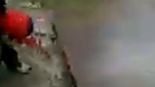 Трахающая собака