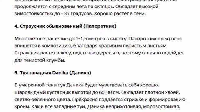 Цветущая клумба в тени схема смотреть онлайн