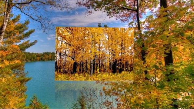 Отговорила роща золотая.... смотреть онлайн