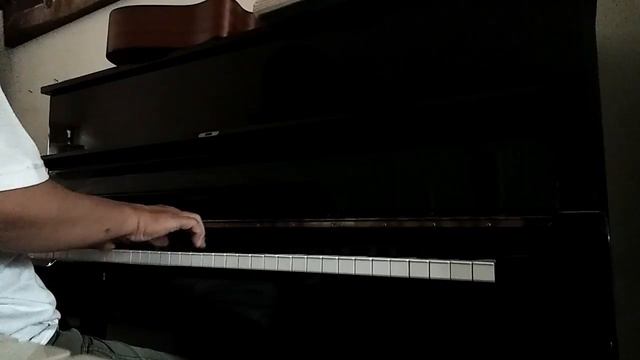 STELLA BY STARLIGHT was played on STEINBACH Piano 121 cm (SOLD) смотреть онлайн