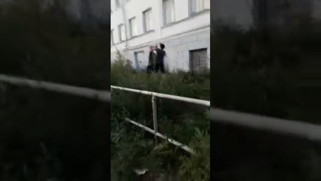 Тренировки смотреть онлайн