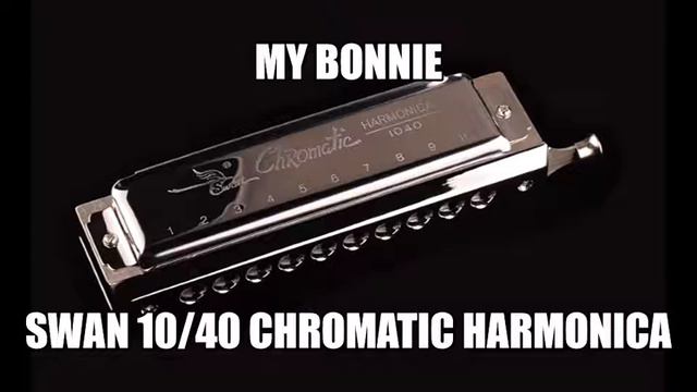 My Bonnie / Swan 10/40 Chromatic Harmonica смотреть онлайн