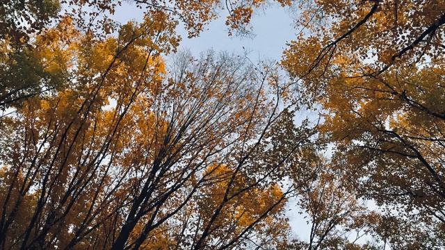 Евгений Глотов — Элегия (авторская песня, акустическая гитара) смотреть онлайн