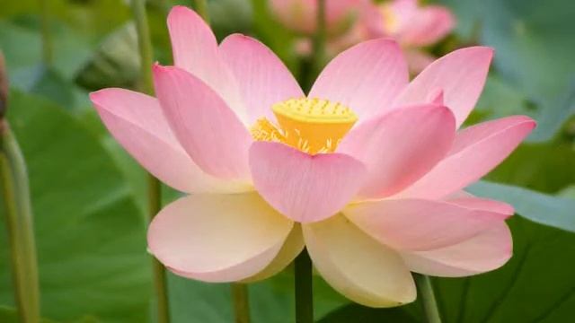 Стих от Господа Христа смотреть онлайн