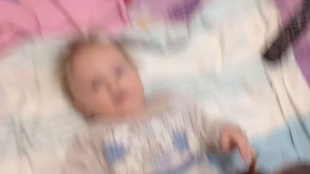 Йорк играет с малышом смотреть онлайн