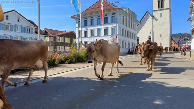 Öberefahre Urnäsch 2023 und Ankunft auf dem heimischen Hof | Alpabfahrten Appenzellerland Schweiz смотреть онлайн