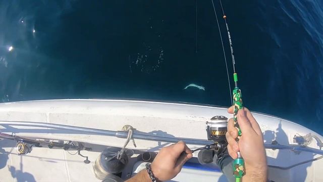 Fishing in Persian Gulf with Berkley Gulp! Alive! Scented Soft Baits смотреть онлайн