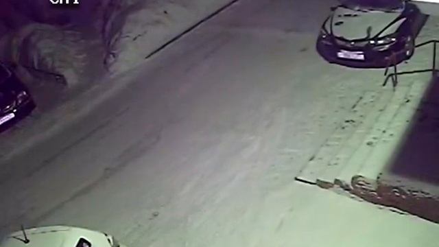 воруют номер смотреть онлайн