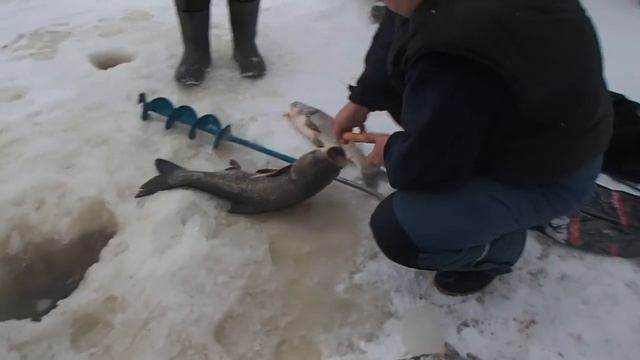 Рыбалка зимняя 2014 год часть 3. смотреть онлайн