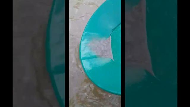 Промывка золота в лотке смотреть онлайн