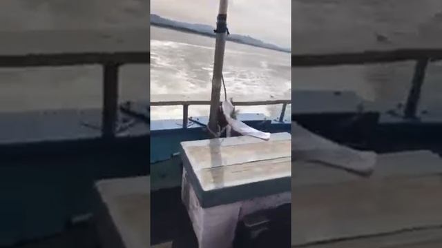 29кмв час смотреть онлайн