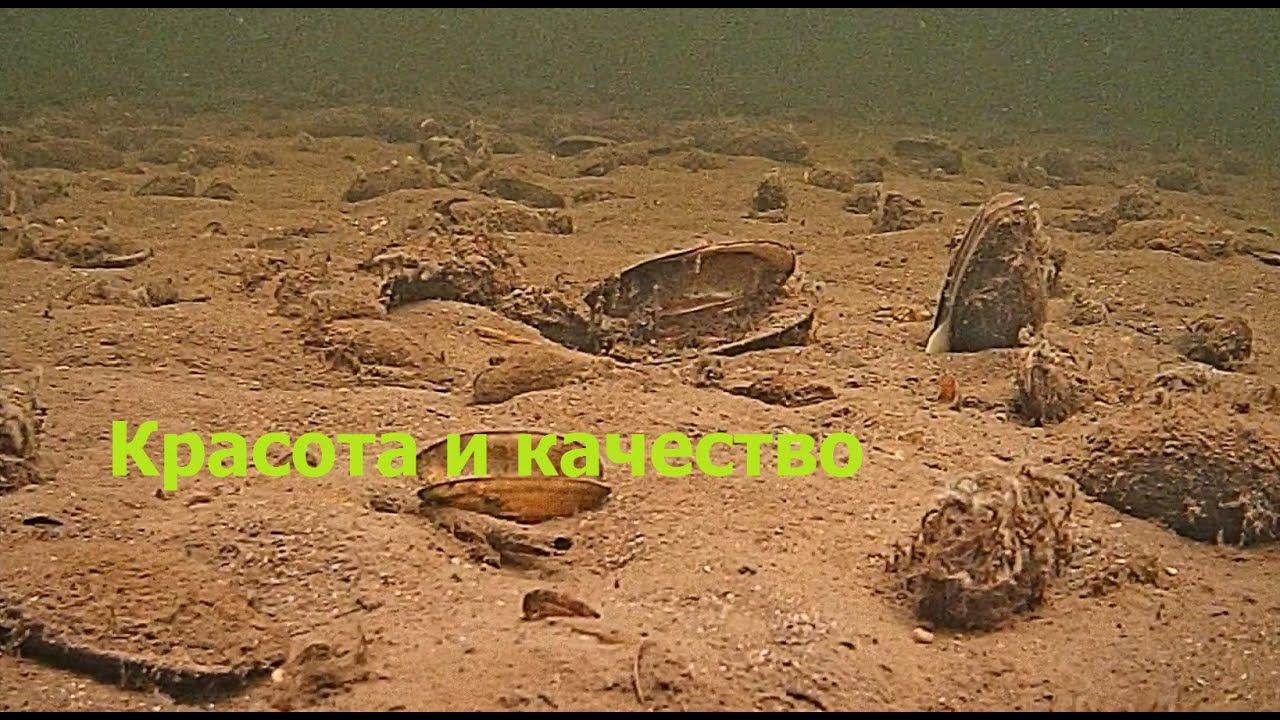 Подводная камера и ИК подсветка смотреть онлайн