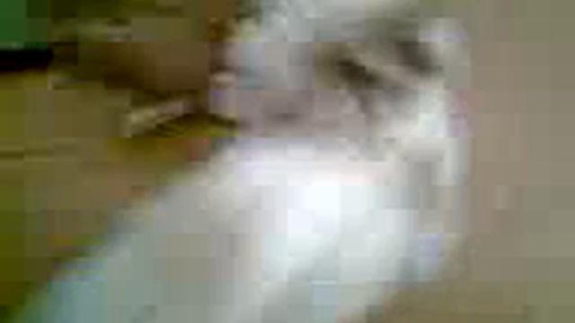Me Playing with My Stuffed Dog (2) смотреть онлайн