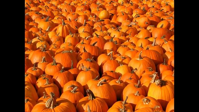 Топ 9 продуктов для восстановления печени смотреть онлайн