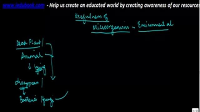 Environmental Uses of Microorganisms - Biology - Science - ICSE, CBSE смотреть онлайн