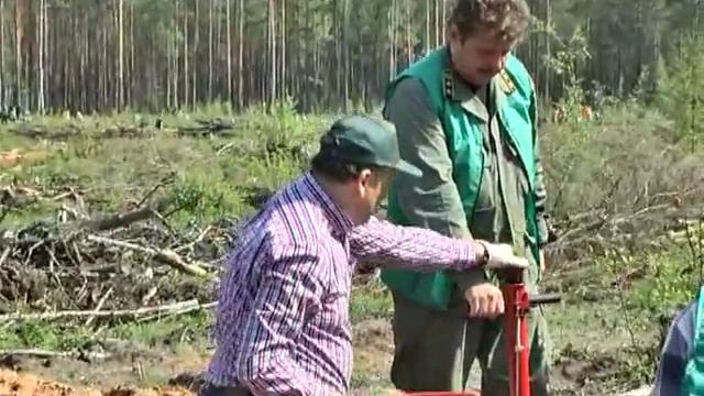 Всероссийский День посадки леса прошел в Луге. смотреть онлайн