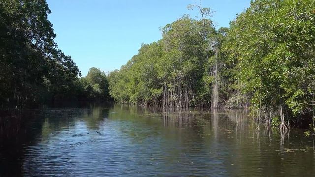 Jamaica [Amazing Places 4K] смотреть онлайн
