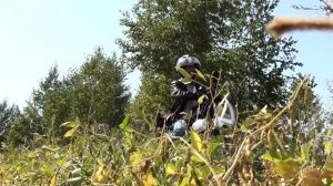 Путешествия на Yamaha YBR-125 (2014 - 2017)