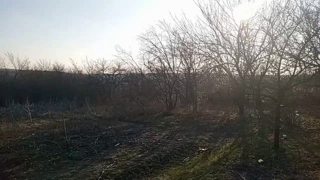 История на даче|Интересные истории из жизни. смотреть онлайн