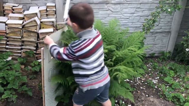 Обзор щита омона самодельного с бронированым стеклом