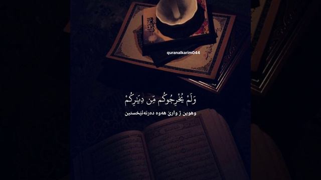 #شريف_مصطفي سورة الممتحنة смотреть онлайн