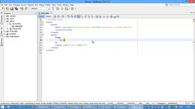การติดตั้ง debug netbeans php смотреть онлайн