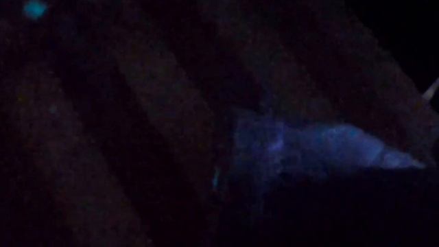 Светящаяся селёдка, это же мутирующий монстр. Или, просто рыбка обыкновенная . смотреть онлайн