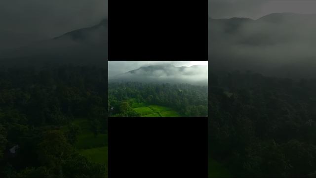 Музыка для фона. Спокойная музыка #shorts смотреть онлайн