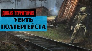 Золотой шар завершение OGSR как Убить полтергейста на Дикой территории Легкий способ
